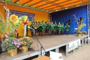 Schloßfest 2016_09_182016_2608 (89).jpg